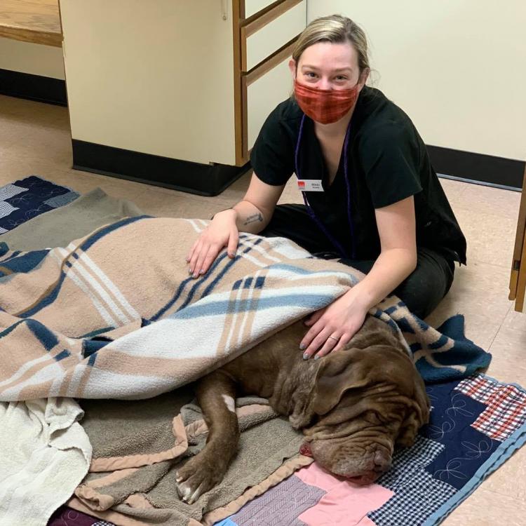 Indian Hills Animal Clinics Wichita, KS